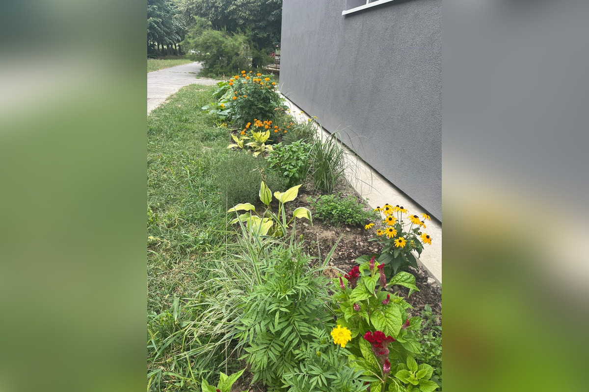 FOTO: Toto sú najkrajšie predzáhradky v Bratislave, foto 27