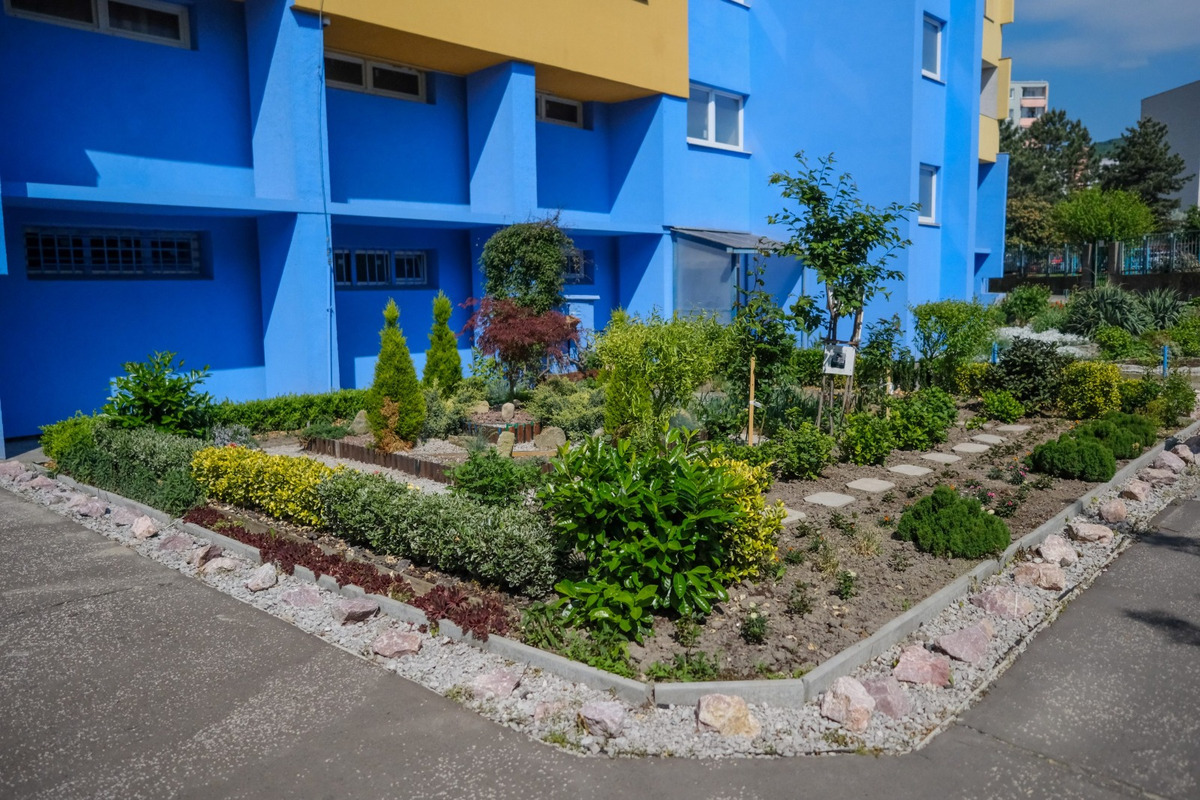 FOTO: Toto sú najkrajšie predzáhradky v Bratislave, foto 28