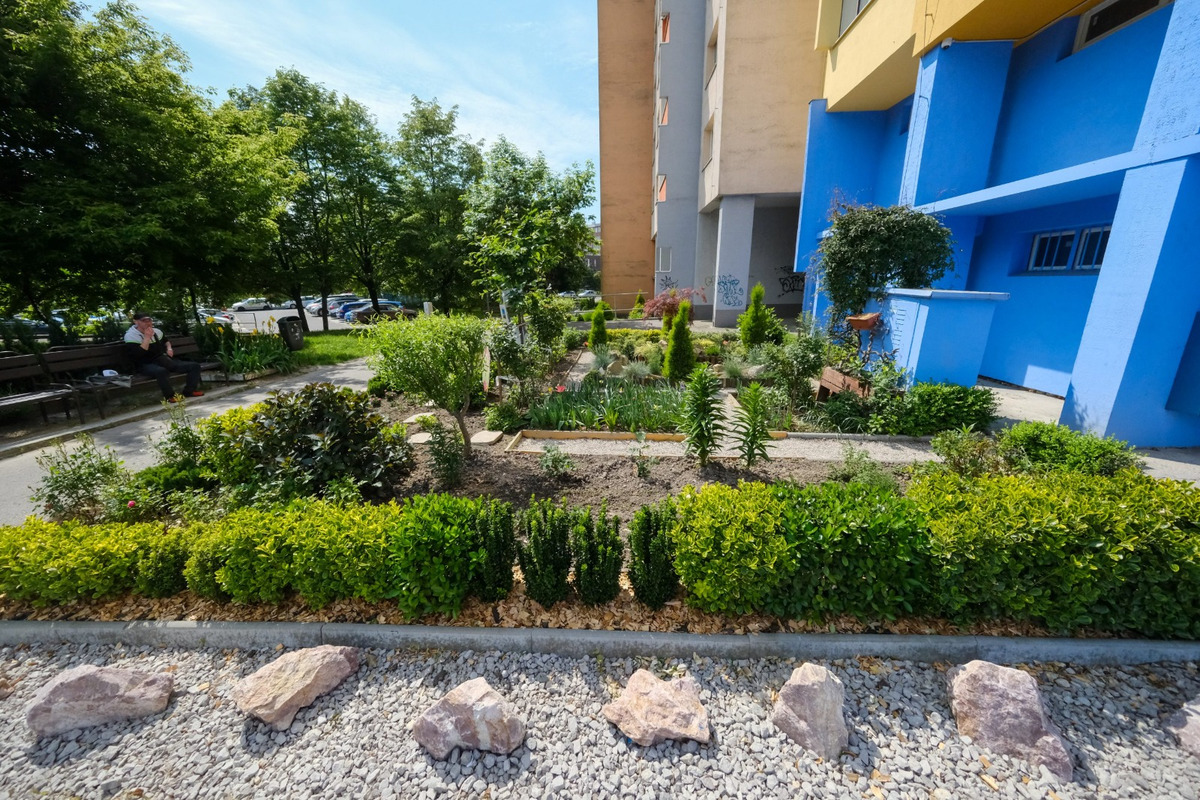 FOTO: Toto sú najkrajšie predzáhradky v Bratislave, foto 31