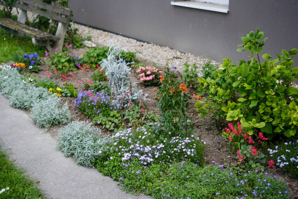 FOTO: Toto sú najkrajšie predzáhradky v Bratislave, foto 32