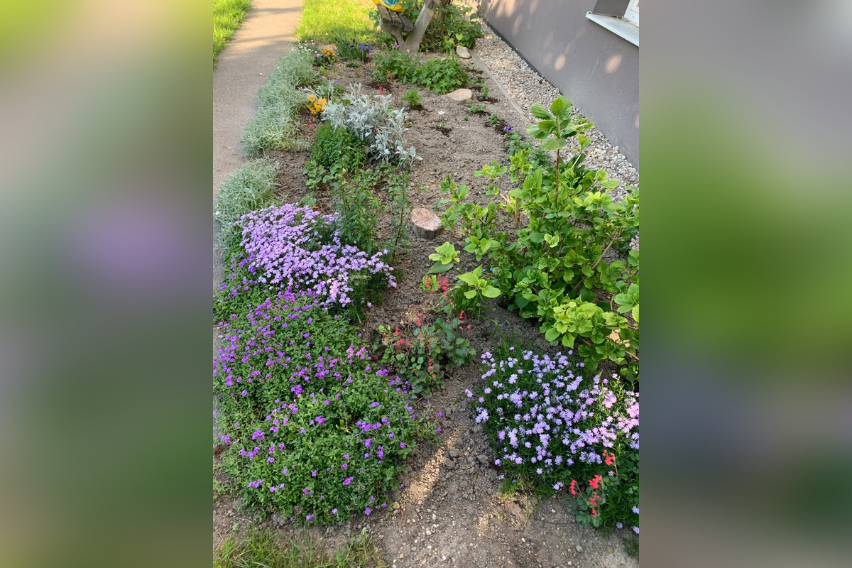 FOTO: Toto sú najkrajšie predzáhradky v Bratislave, foto 34