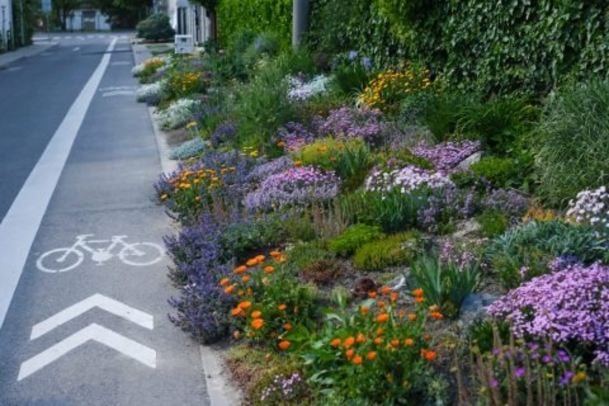 FOTO: Toto sú najkrajšie predzáhradky v Bratislave, foto 35