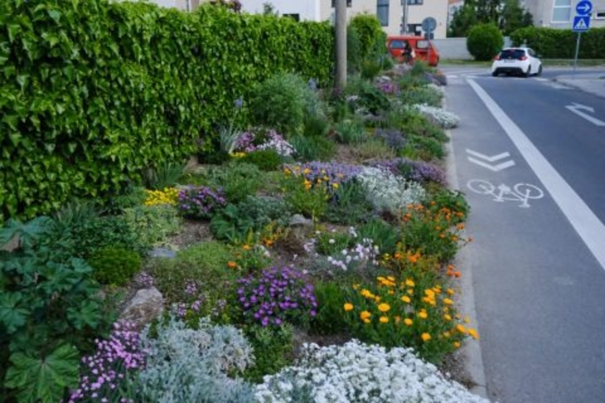 FOTO: Toto sú najkrajšie predzáhradky v Bratislave, foto 36