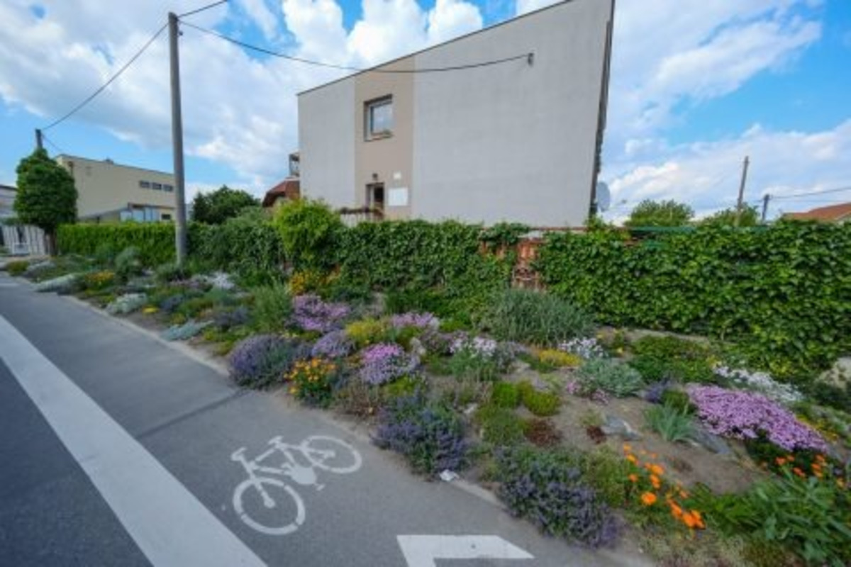 FOTO: Toto sú najkrajšie predzáhradky v Bratislave, foto 37