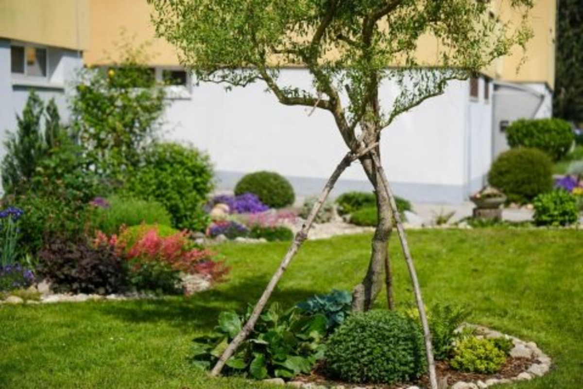 FOTO: Toto sú najkrajšie predzáhradky v Bratislave, foto 38