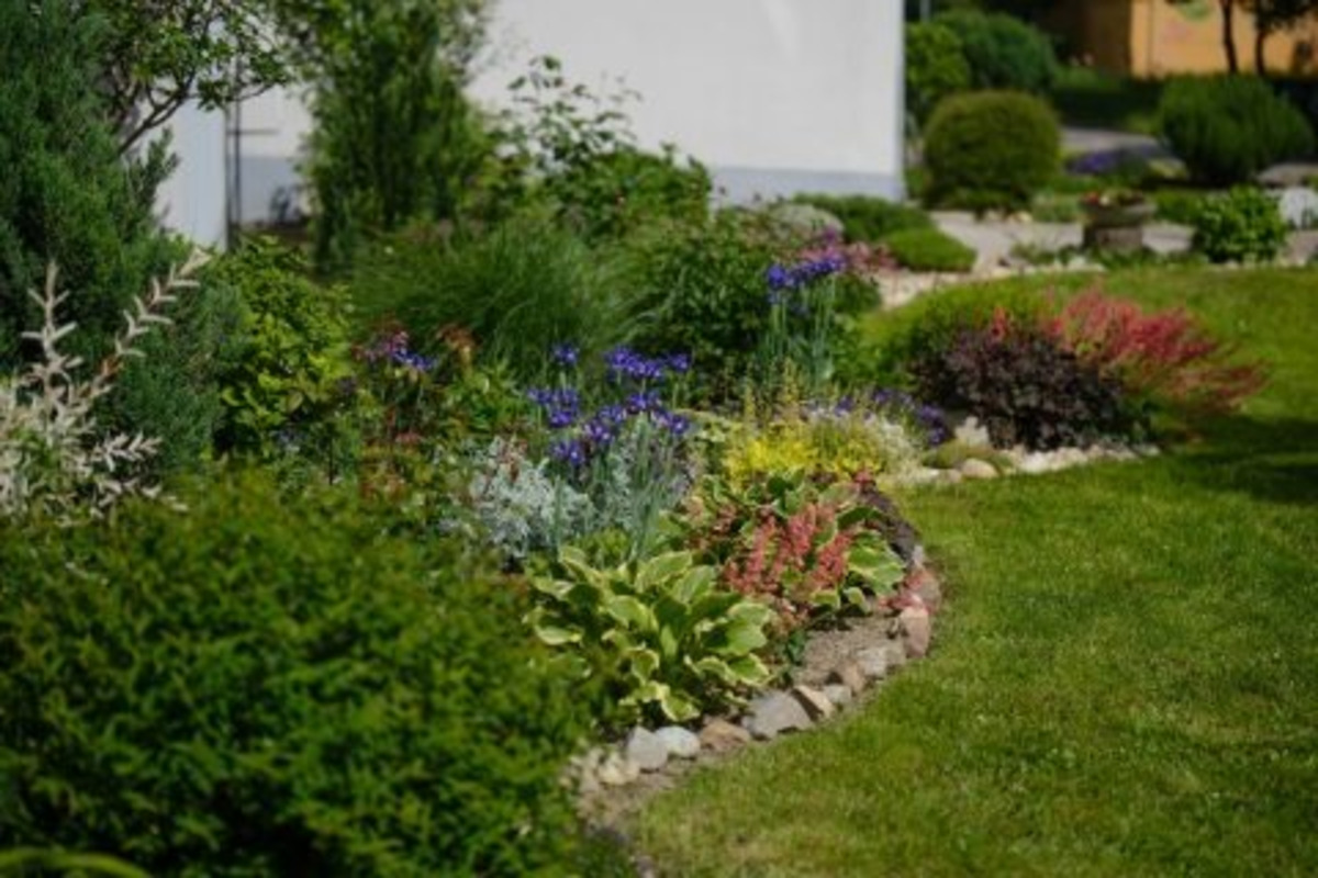 FOTO: Toto sú najkrajšie predzáhradky v Bratislave, foto 40