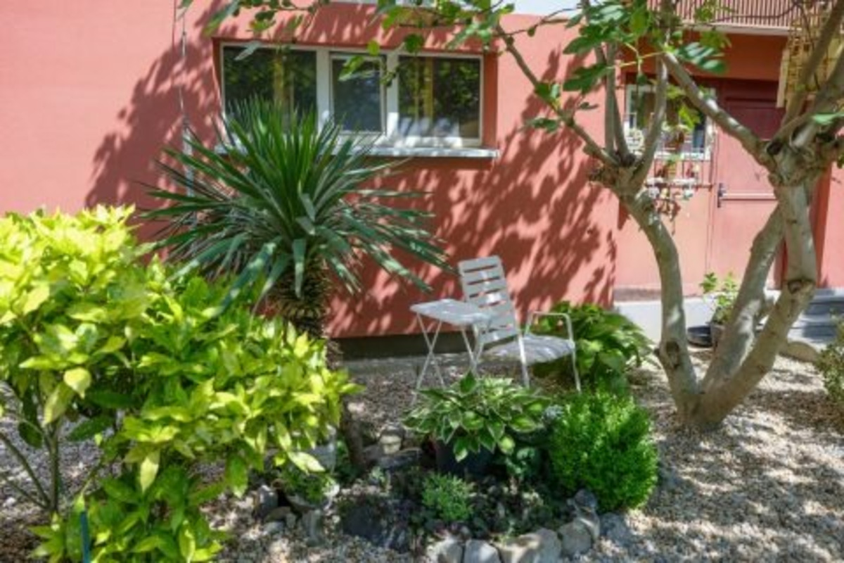 FOTO: Toto sú najkrajšie predzáhradky v Bratislave, foto 42