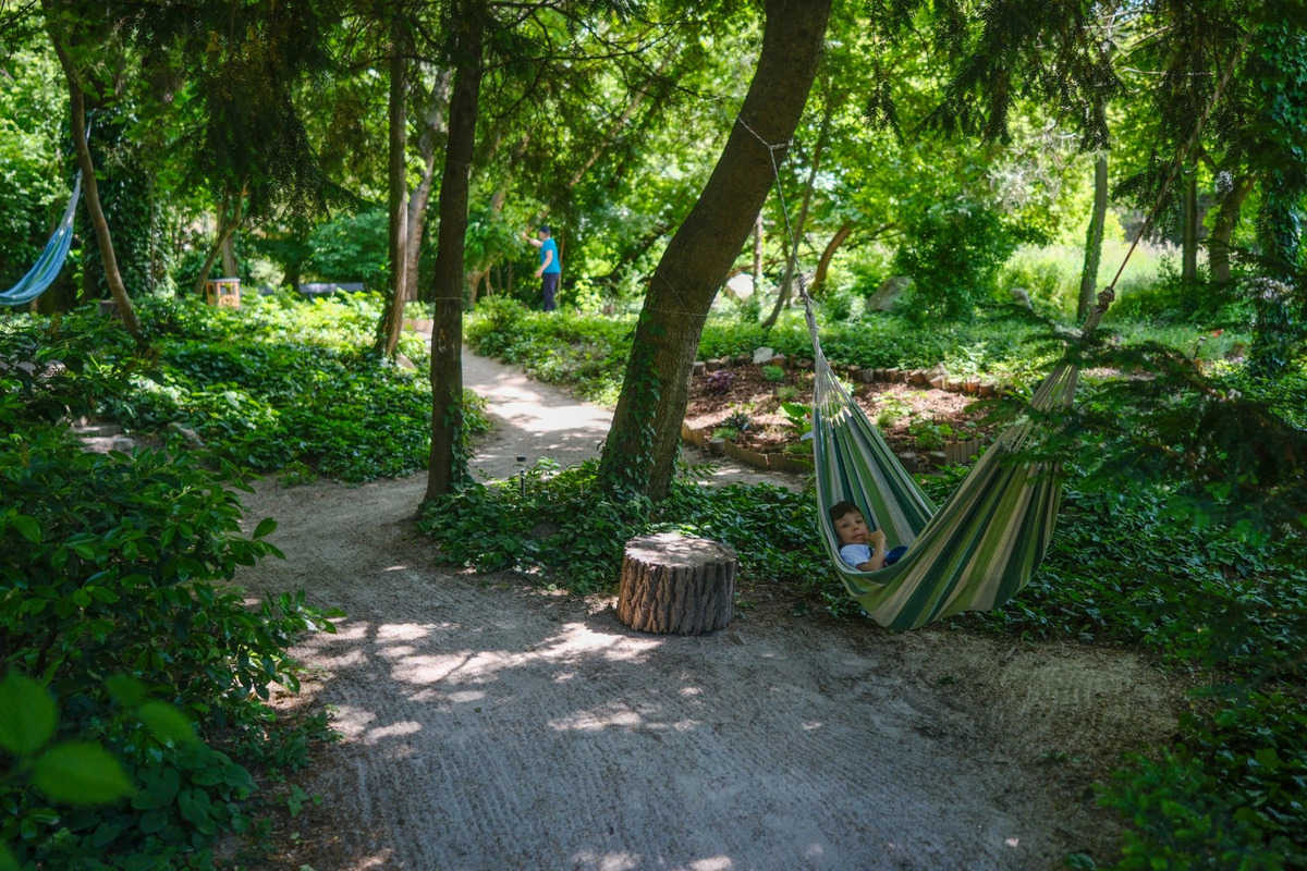 FOTO: Toto sú najkrajšie predzáhradky v Bratislave, foto 45