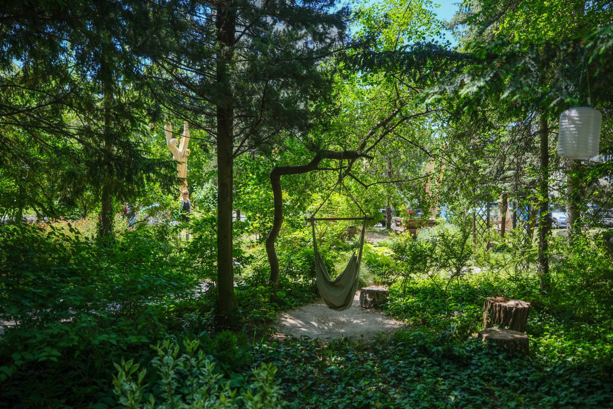 FOTO: Toto sú najkrajšie predzáhradky v Bratislave, foto 47