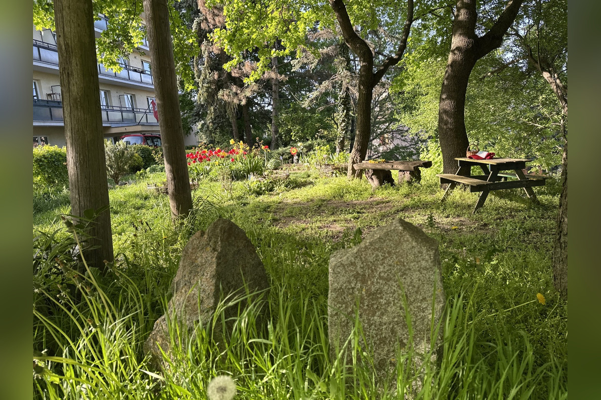 FOTO: Toto sú najkrajšie predzáhradky v Bratislave, foto 49