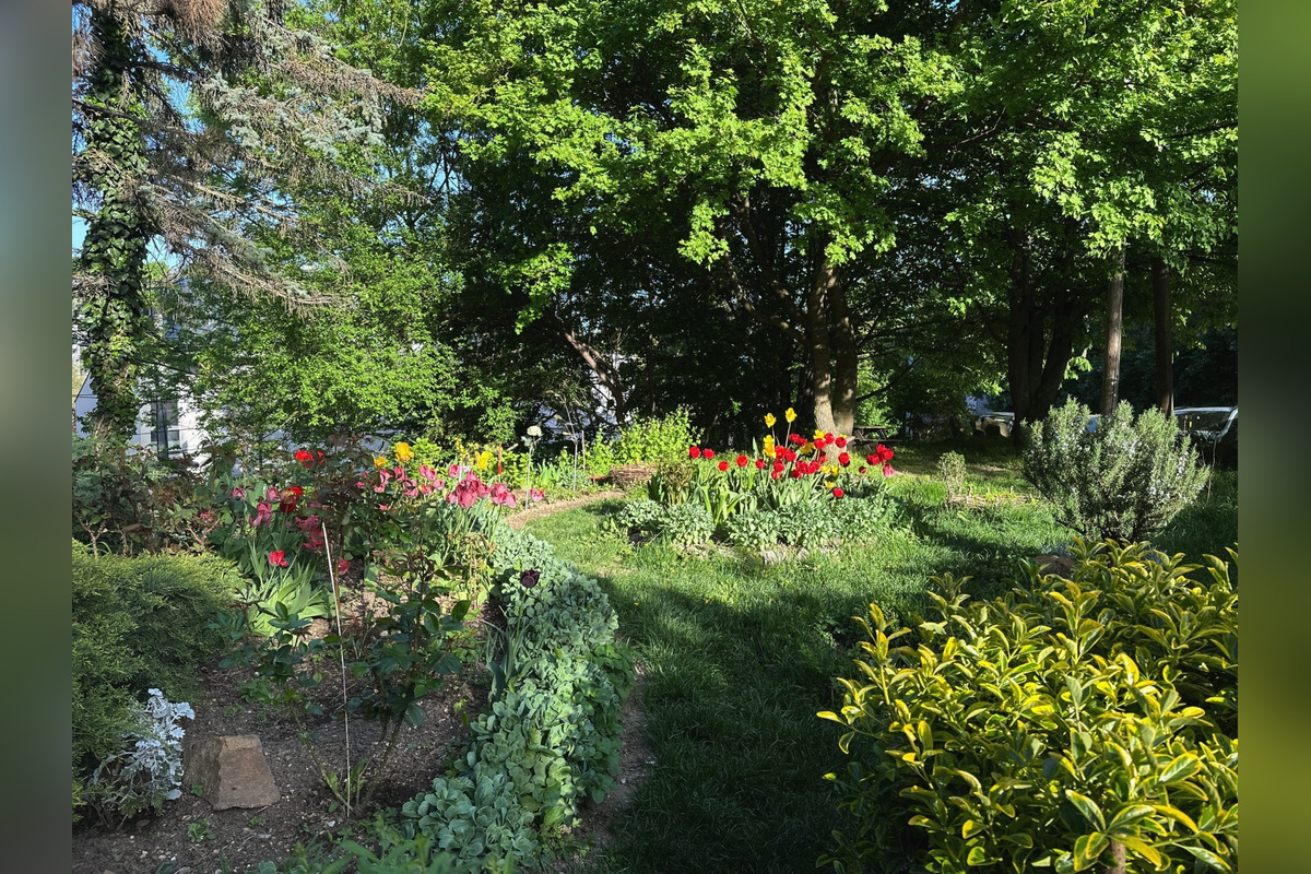 FOTO: Toto sú najkrajšie predzáhradky v Bratislave, foto 50