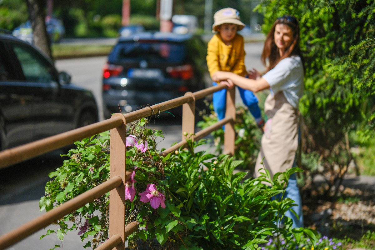 FOTO: Toto sú najkrajšie predzáhradky v Bratislave, foto 51