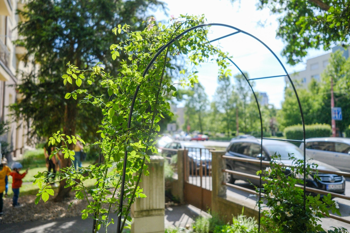 FOTO: Toto sú najkrajšie predzáhradky v Bratislave, foto 53