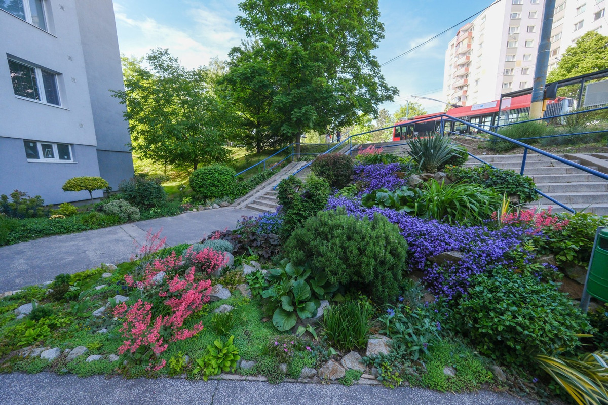 FOTO: Toto sú najkrajšie predzáhradky v Bratislave, foto 57