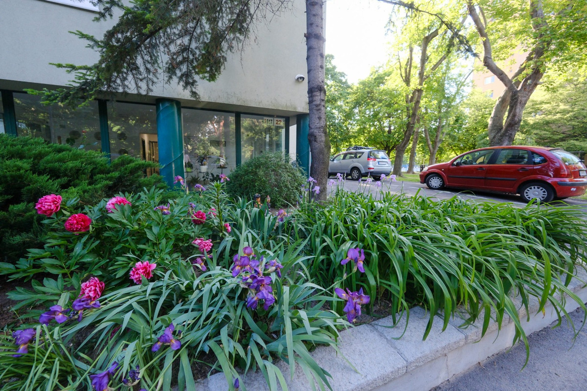 FOTO: Toto sú najkrajšie predzáhradky v Bratislave, foto 58