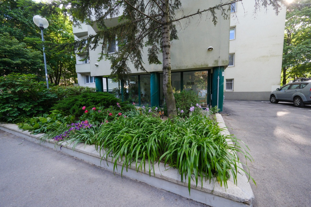 FOTO: Toto sú najkrajšie predzáhradky v Bratislave, foto 59