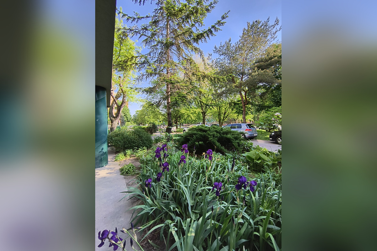 FOTO: Toto sú najkrajšie predzáhradky v Bratislave, foto 60