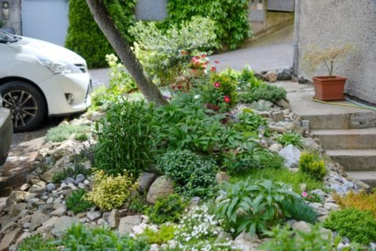 FOTO: Toto sú najkrajšie predzáhradky v Bratislave, foto 64