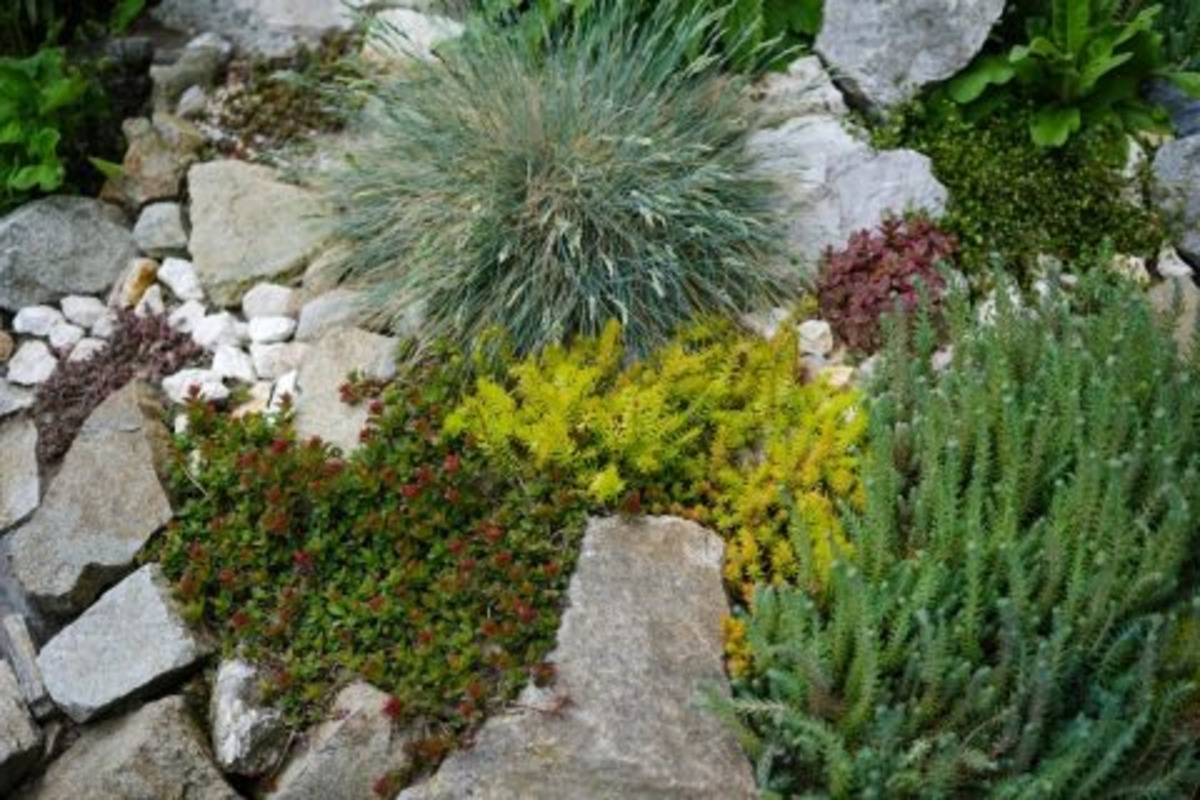 FOTO: Toto sú najkrajšie predzáhradky v Bratislave, foto 65