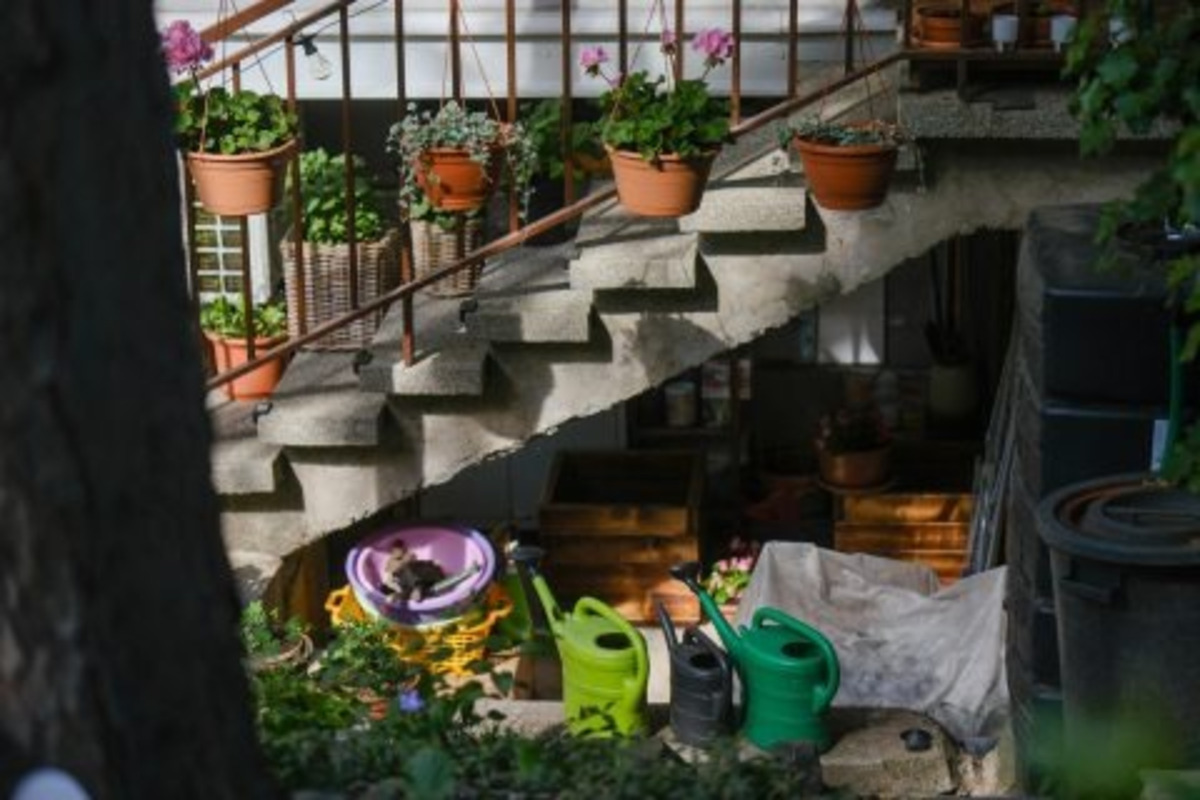 FOTO: Toto sú najkrajšie predzáhradky v Bratislave, foto 67