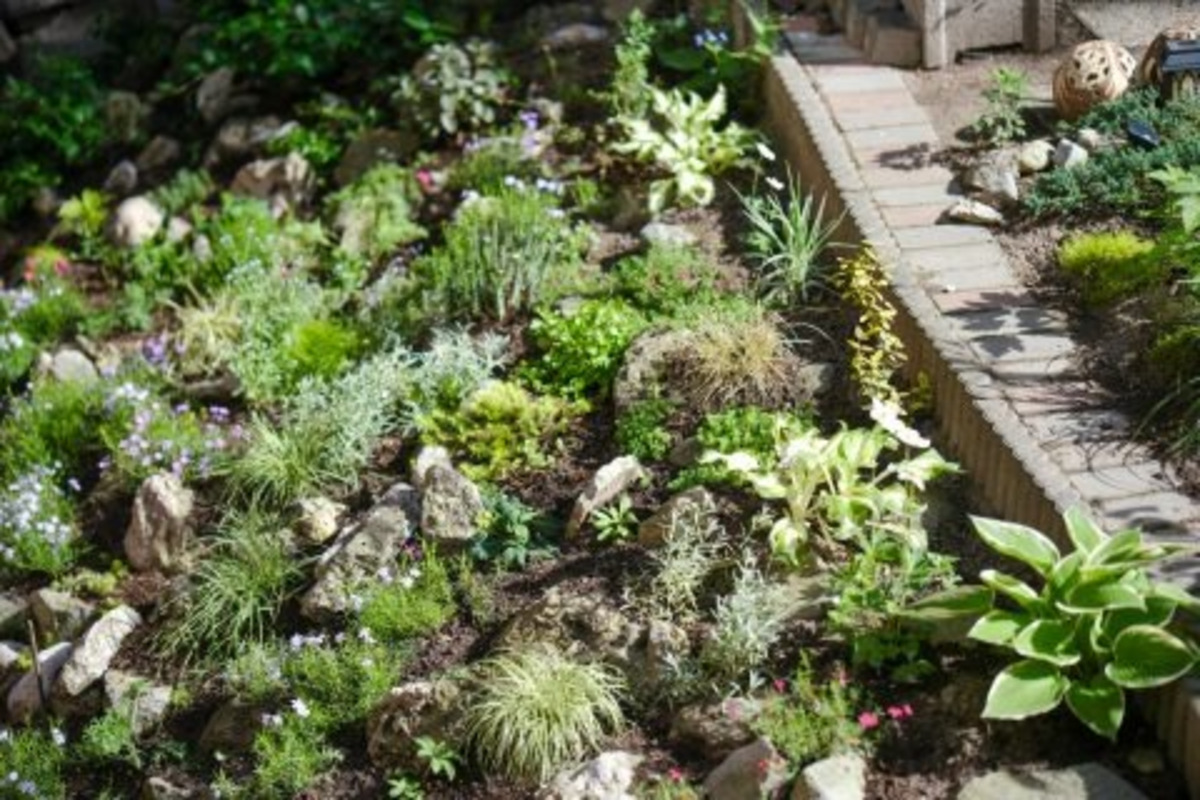 FOTO: Toto sú najkrajšie predzáhradky v Bratislave, foto 69