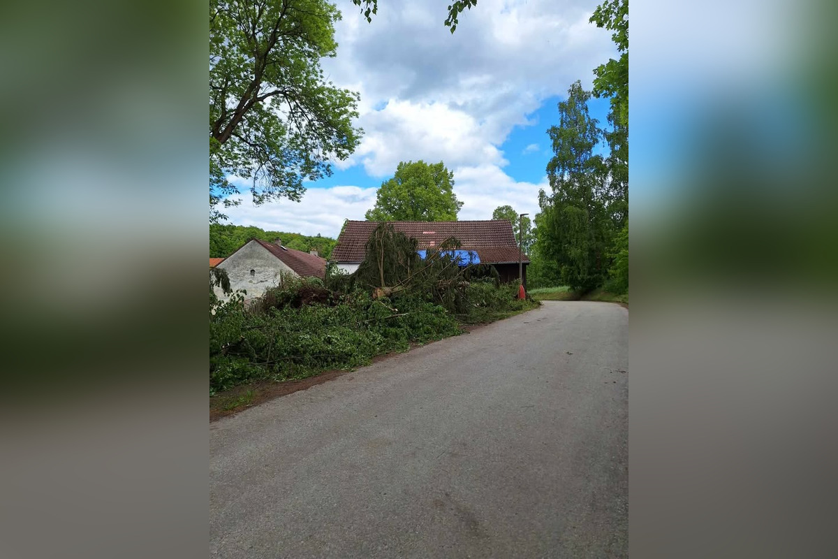 FOTO: Najprv len tmavý oblak a vietor, potom desivý vír, ktorý zanechal spúšť v lesoch. Na juhu Čiech udrelo tornádo, foto 1