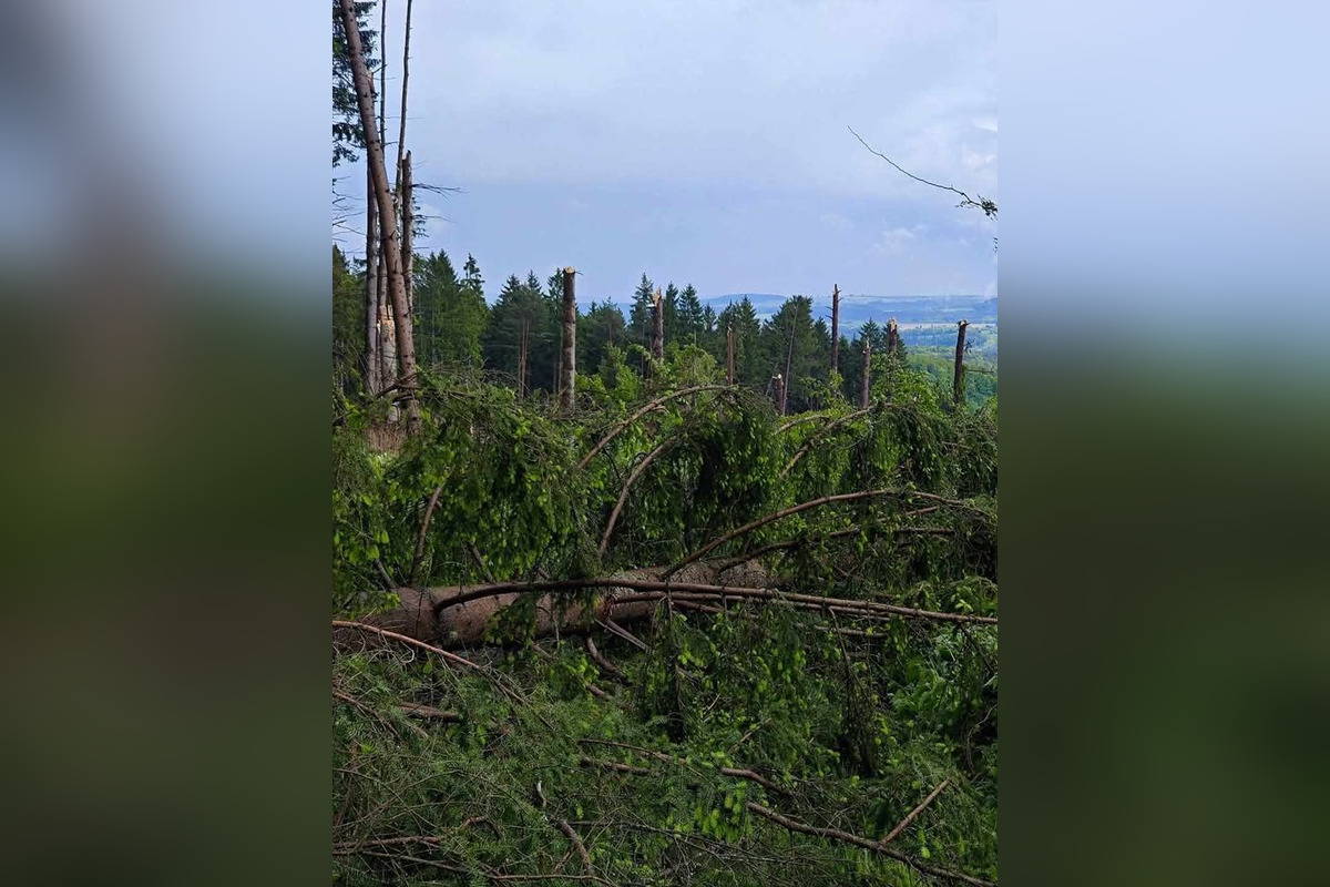 FOTO: Najprv len tmavý oblak a vietor, potom desivý vír, ktorý zanechal spúšť v lesoch. Na juhu Čiech udrelo tornádo, foto 2