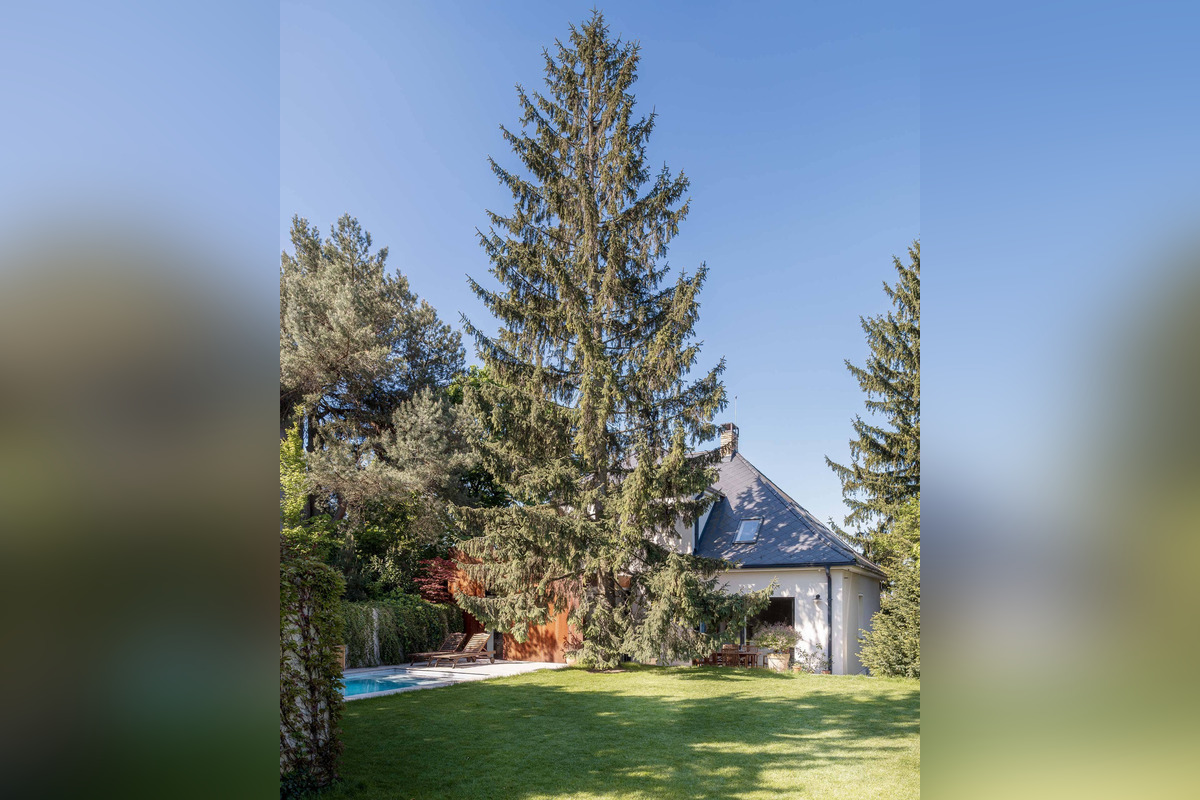 FOTO: V Starom Meste zrekonštruovali povojnovú vilu, foto 8