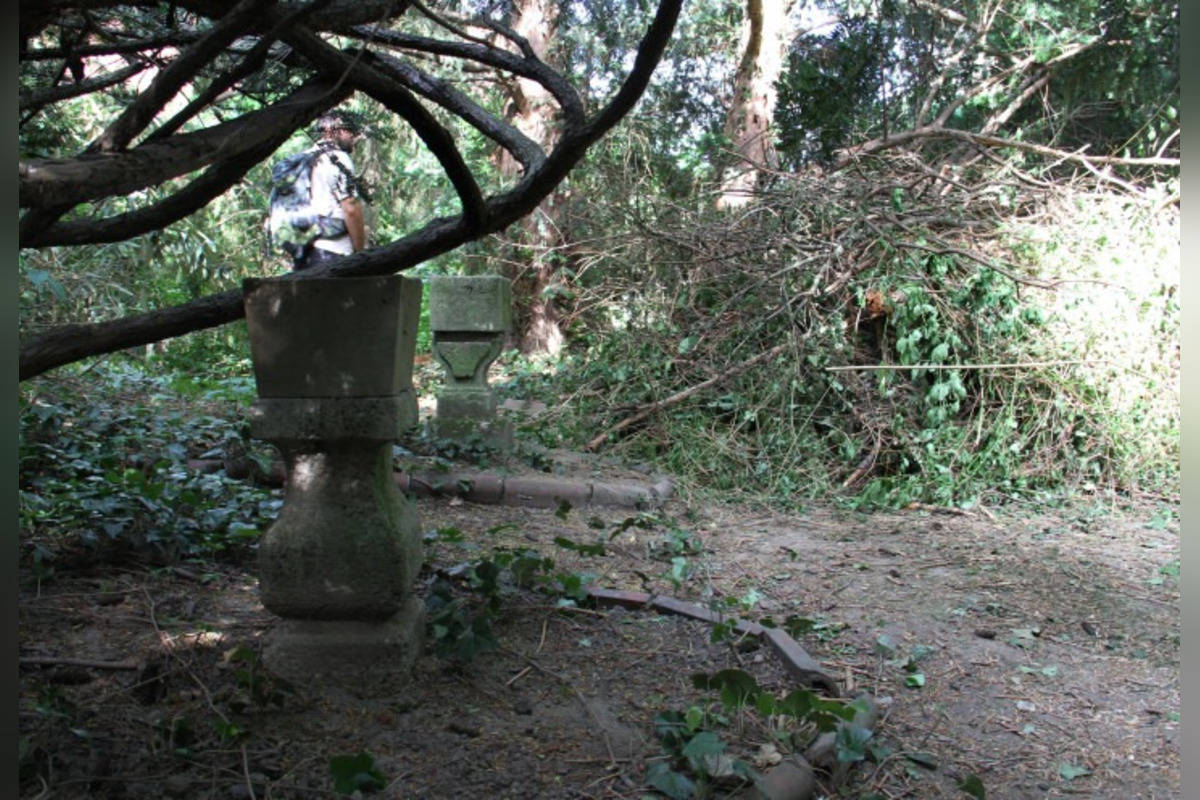 FOTO: Kochova záhrada v Bratislave, foto 2