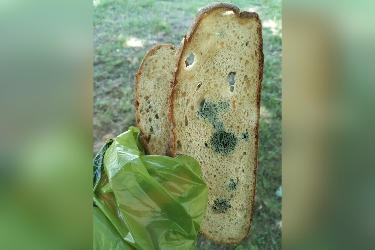 FOTO: Na sídliskách v Podunajských Biskupiciach niekto rozhadzuje jedlo, foto 1