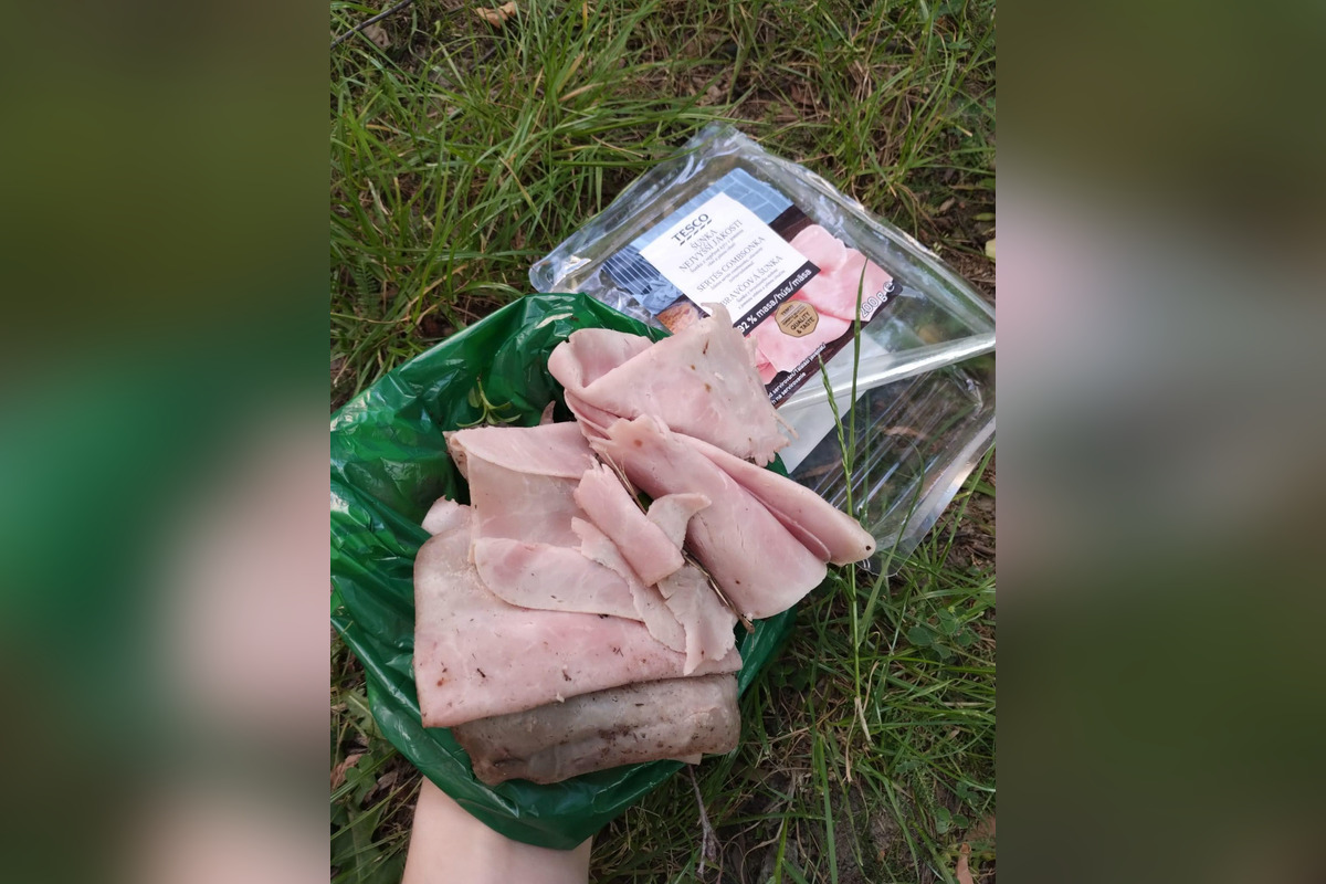 FOTO: Na sídliskách v Podunajských Biskupiciach niekto rozhadzuje jedlo, foto 4