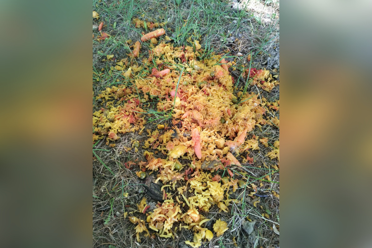 FOTO: Na sídliskách v Podunajských Biskupiciach niekto rozhadzuje jedlo, foto 6