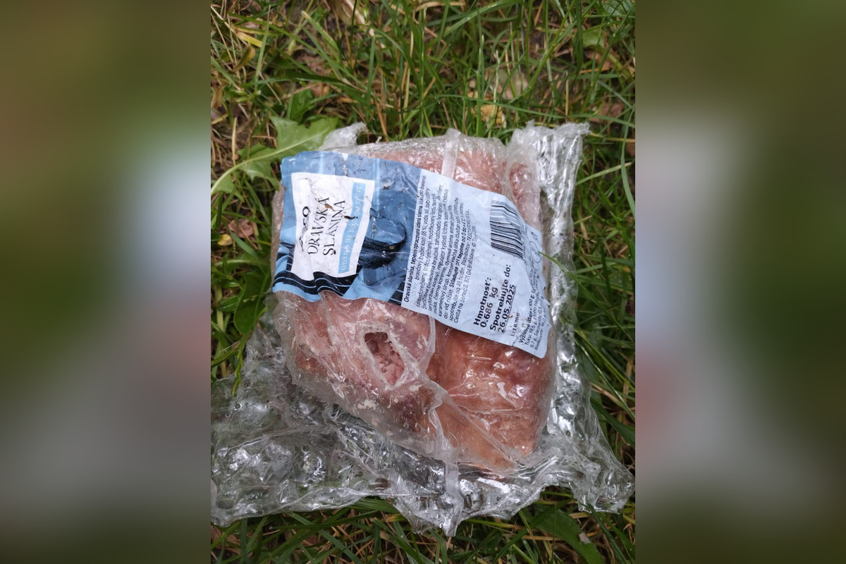 FOTO: Na sídliskách v Podunajských Biskupiciach niekto rozhadzuje jedlo, foto 8