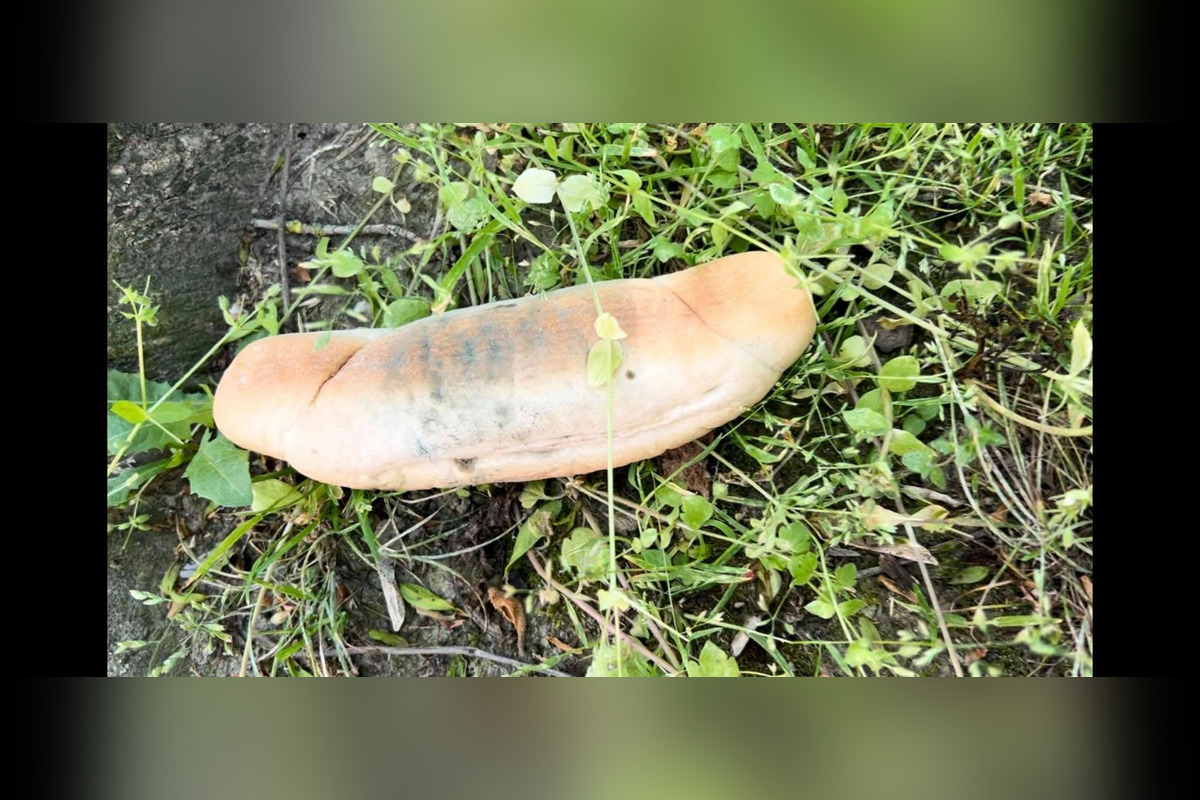 FOTO: Na sídliskách v Podunajských Biskupiciach niekto rozhadzuje jedlo, foto 10