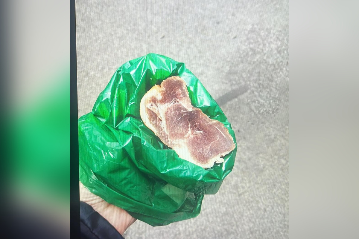 FOTO: Na sídliskách v Podunajských Biskupiciach niekto rozhadzuje jedlo, foto 11