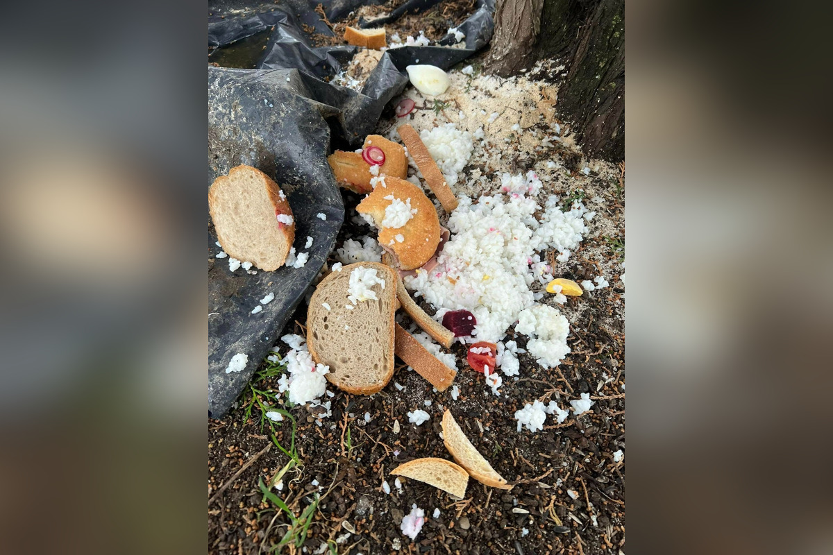 FOTO: Na sídliskách v Podunajských Biskupiciach niekto rozhadzuje jedlo, foto 15