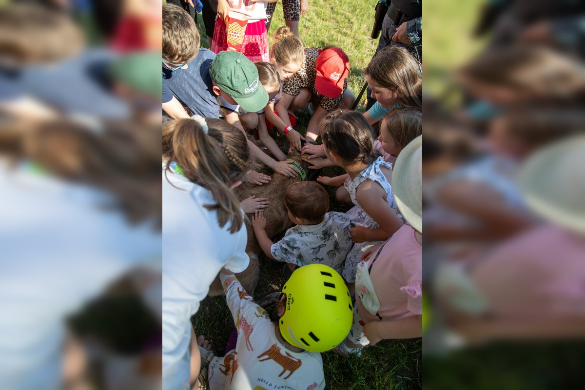 FOTO: Ružinovský psí miláčik , foto 2