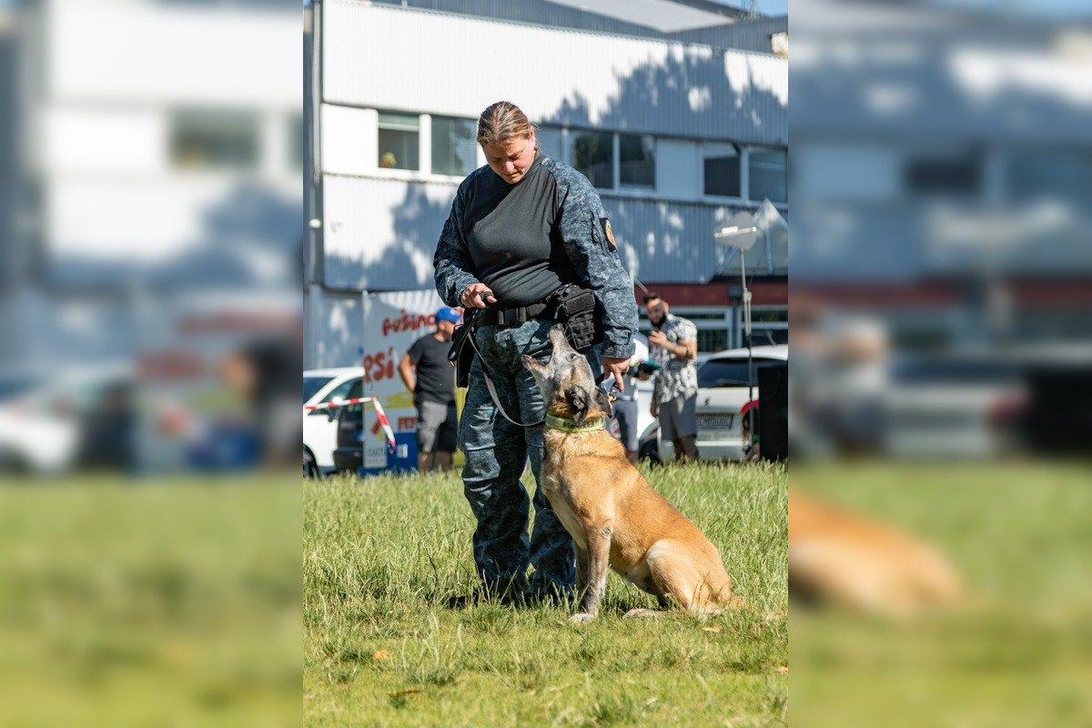 FOTO: Ružinovský psí miláčik , foto 3