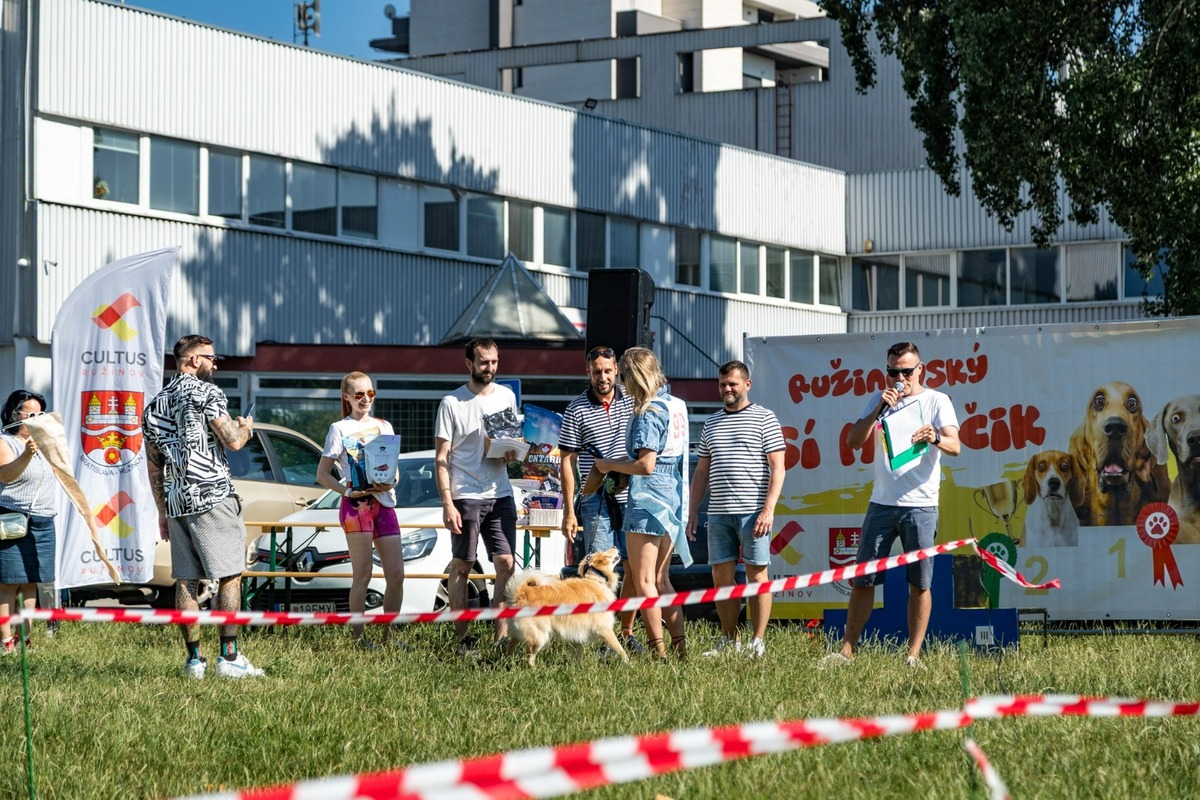 FOTO: Ružinovský psí miláčik , foto 5