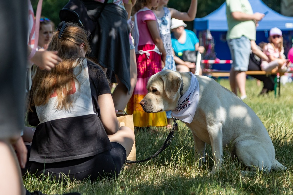 FOTO: Ružinovský psí miláčik , foto 7
