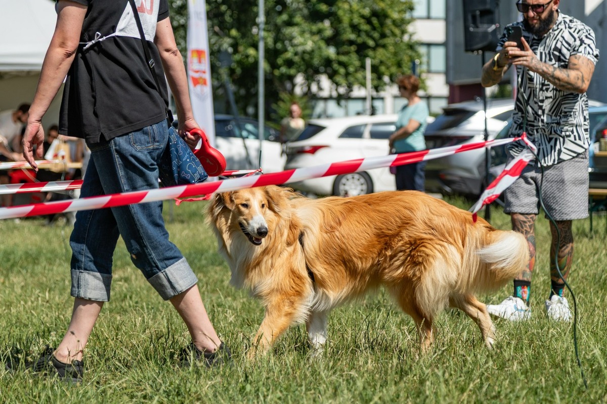 FOTO: Ružinovský psí miláčik , foto 8