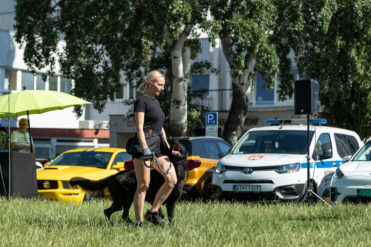 FOTO: Ružinovský psí miláčik , foto 9