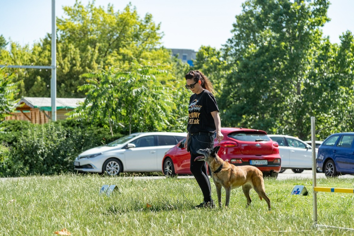 FOTO: Ružinovský psí miláčik , foto 12