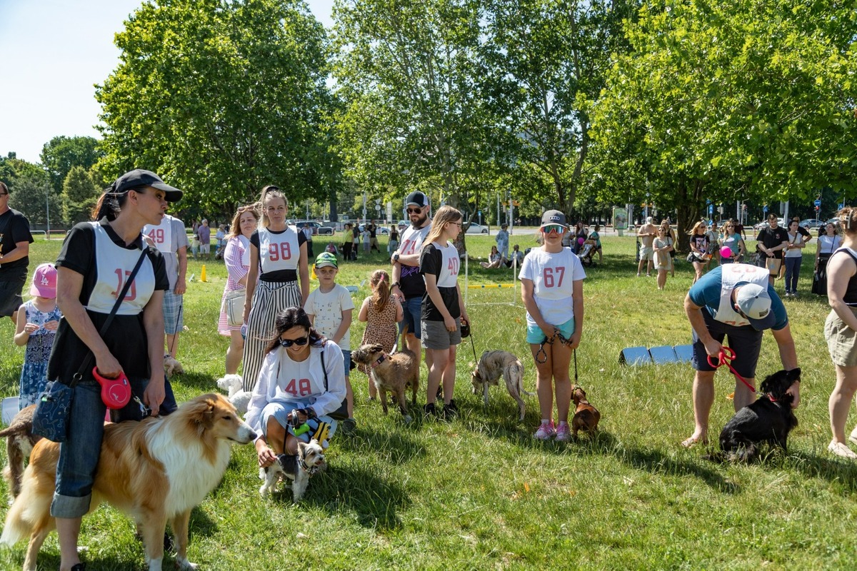FOTO: Ružinovský psí miláčik , foto 13