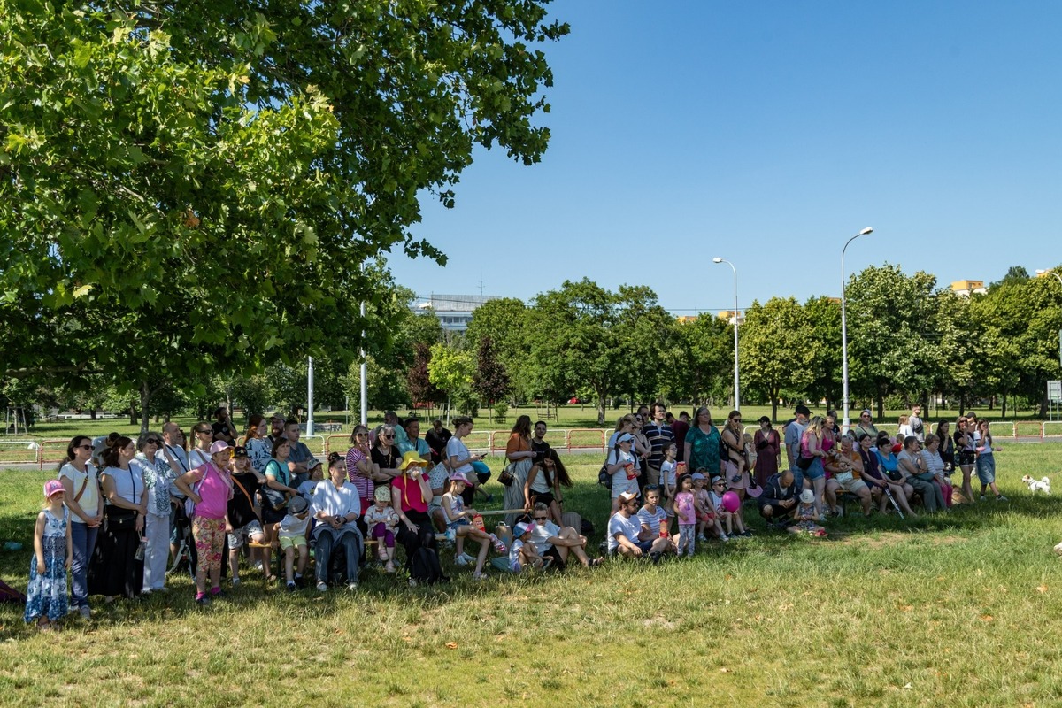 FOTO: Ružinovský psí miláčik , foto 16