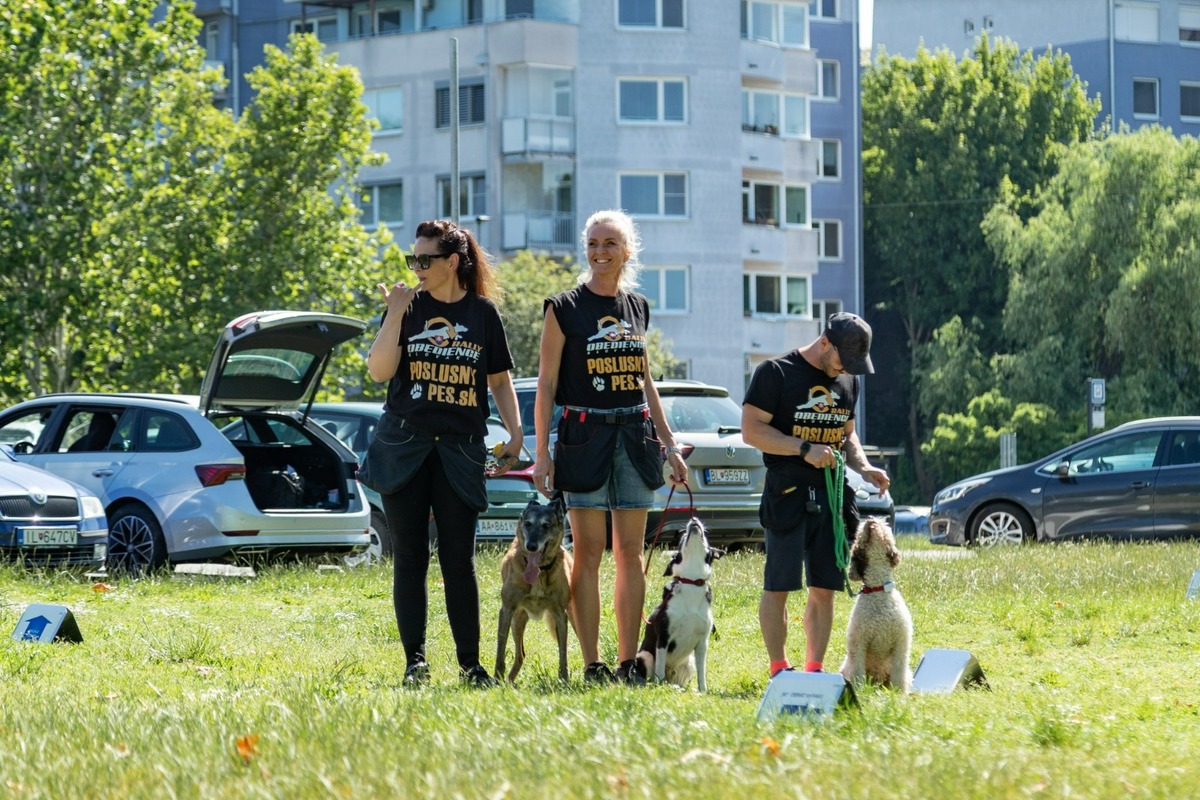 FOTO: Ružinovský psí miláčik , foto 17