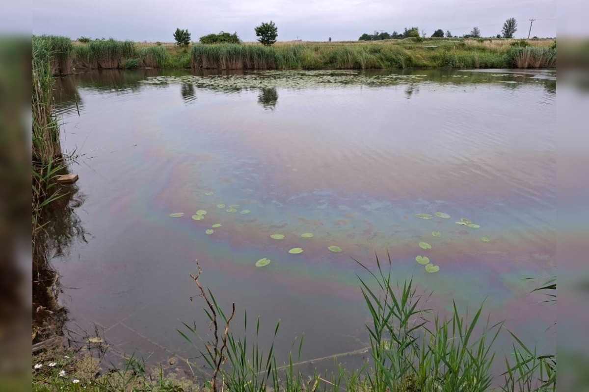 FOTO: Na hladine jazera v Záhorskej Vsi sa vyskytla škvrna, foto 1
