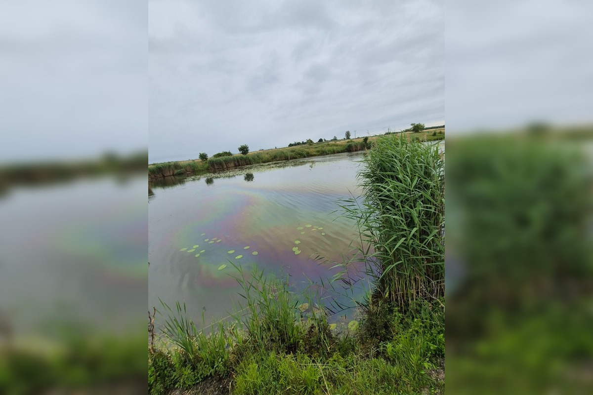 FOTO: Na hladine jazera v Záhorskej Vsi sa vyskytla škvrna, foto 5