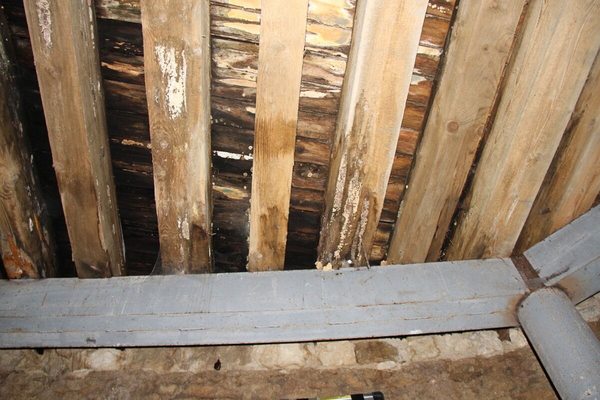 FOTO: Prihlásené projekty z Trnavského kraja v Proměnách 2025, foto 25