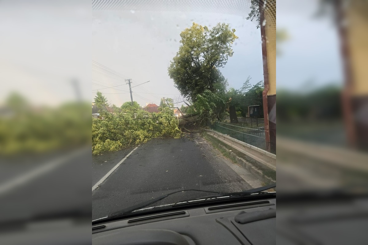 FOTO: Búrky na Slovensku lámali stromy, silný vietor odfúkol strechy, foto 2